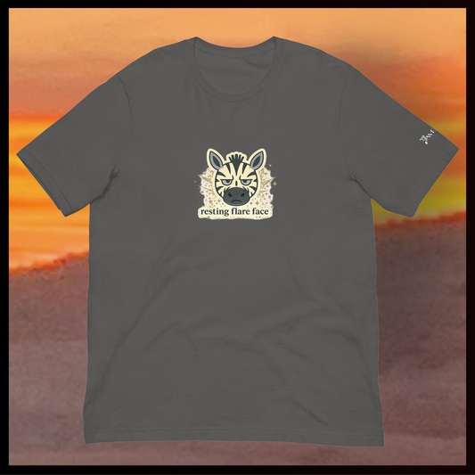 Gray t-shirt with a zebra face graphic on a sunset background