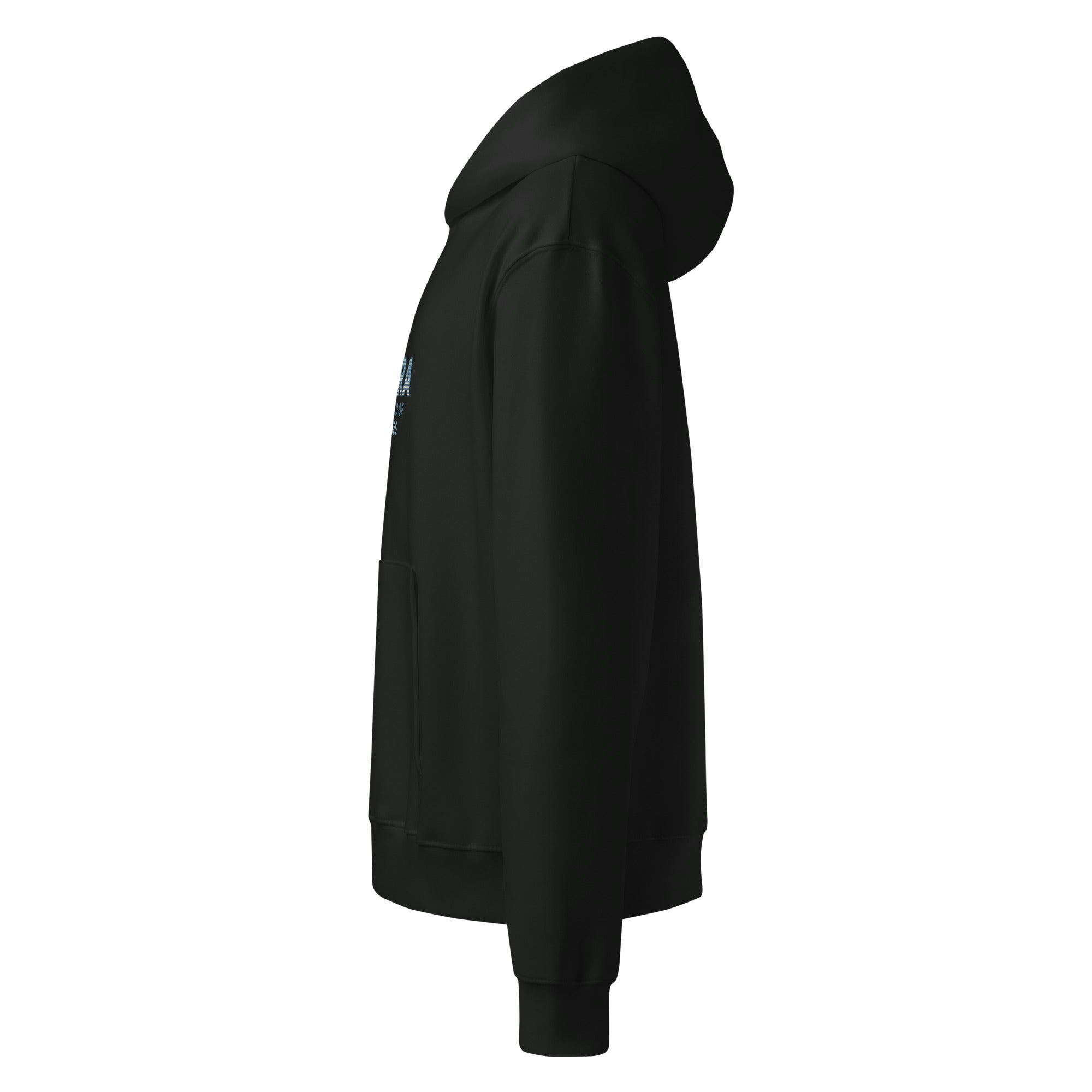Black rare disease gift hoodie with "Zebra In a world full of horses" logo on the front, from the side.