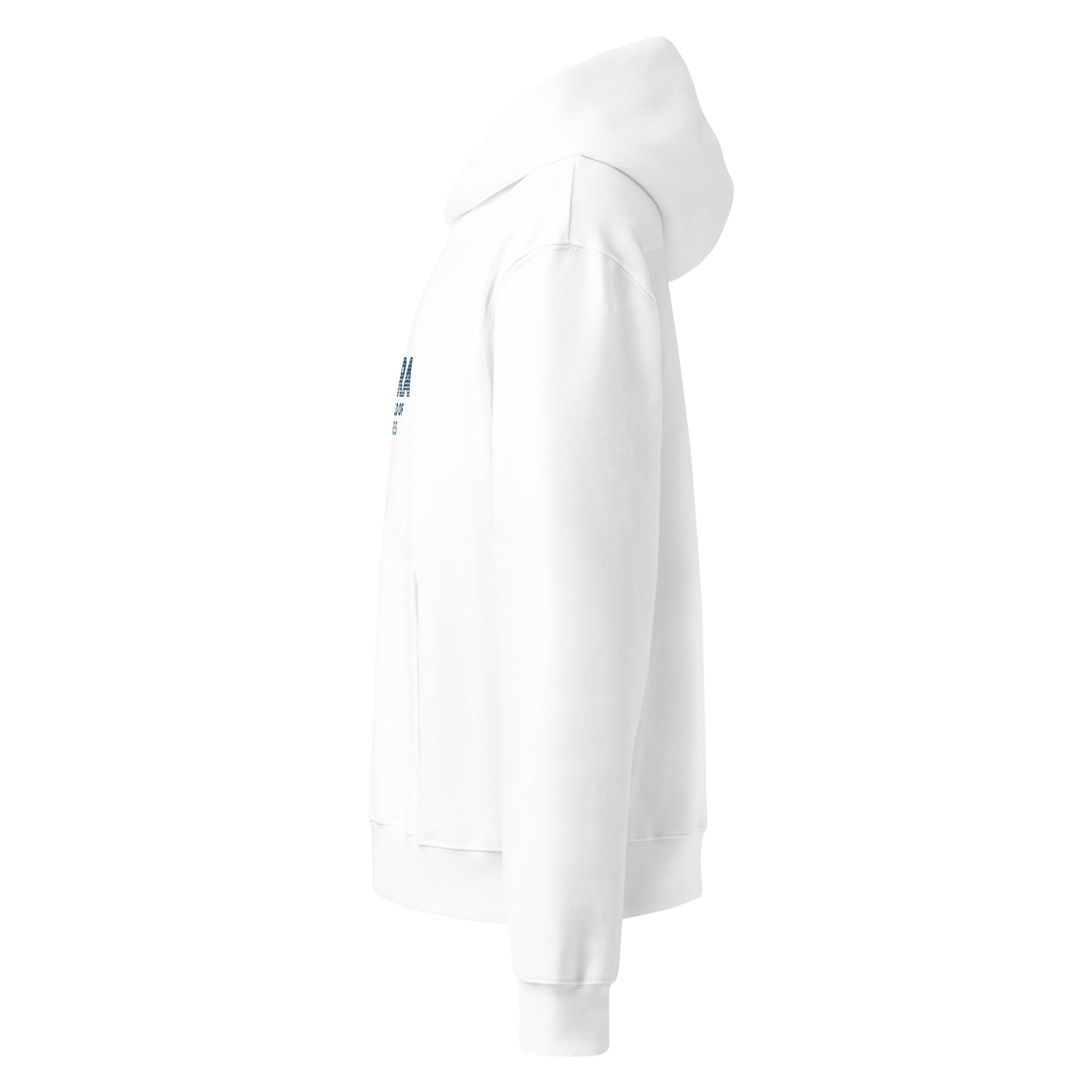 White Disability Awareness hoodie with blue "Zebra In A World Full of Horses" branding on a white background